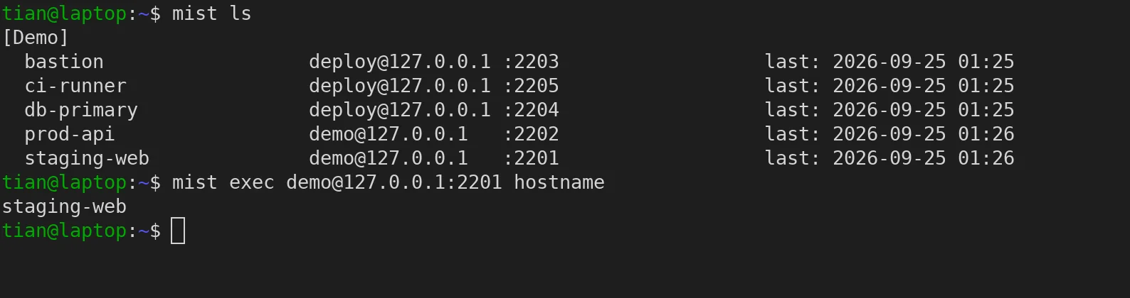 mist ls 列出 5 台服务器;mist exec 按地址连上,hostname 回显 staging-web